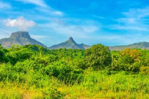 Easy Online Casino India Tutorial: Step-by-Step Guide for India (2026)