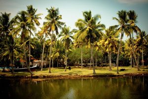 Best Betting Strategies for Ipl in Kerala: Complete 2026 Guide for Indian Players
